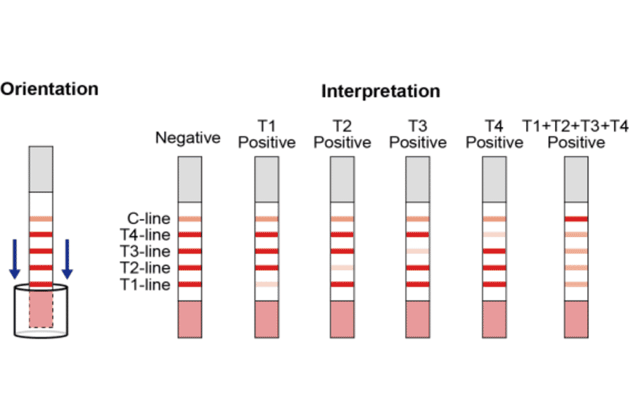 Assay Method - Beta Lactam + Tetracycline + Cephalexin + Ceftiofur Strip Test Kit (A327184) - Antibodies.com