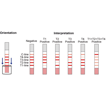 Assay Method - Beta Lactam + Tetracycline + Cephalexin + Ceftiofur Strip Test Kit (A327184) - Antibodies.com