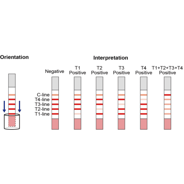 Assay Method - Beta Lactam + Tetracycline + Cephalexin + Ceftiofur Strip Test Kit (A327184) - Antibodies.com