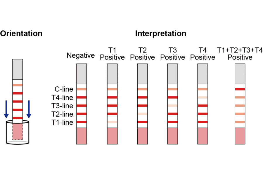 Assay Method - Beta Lactam + Tetracycline + Streptomycin + Chloramphenicol Strip Test Kit (A327185) - Antibodies.com