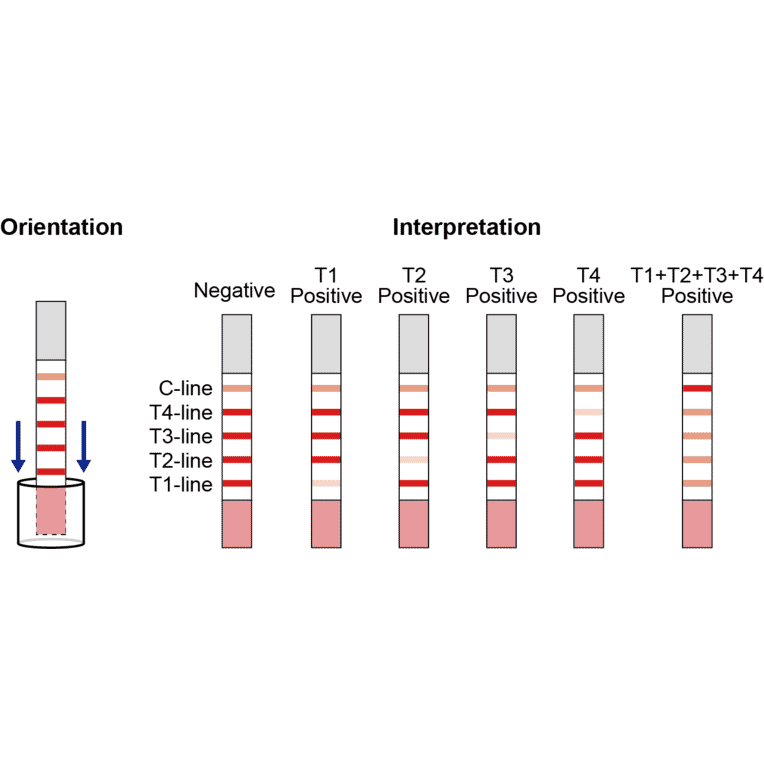 Assay Method - Beta Lactam + Tetracycline + Streptomycin + Chloramphenicol Strip Test Kit (A327185) - Antibodies.com