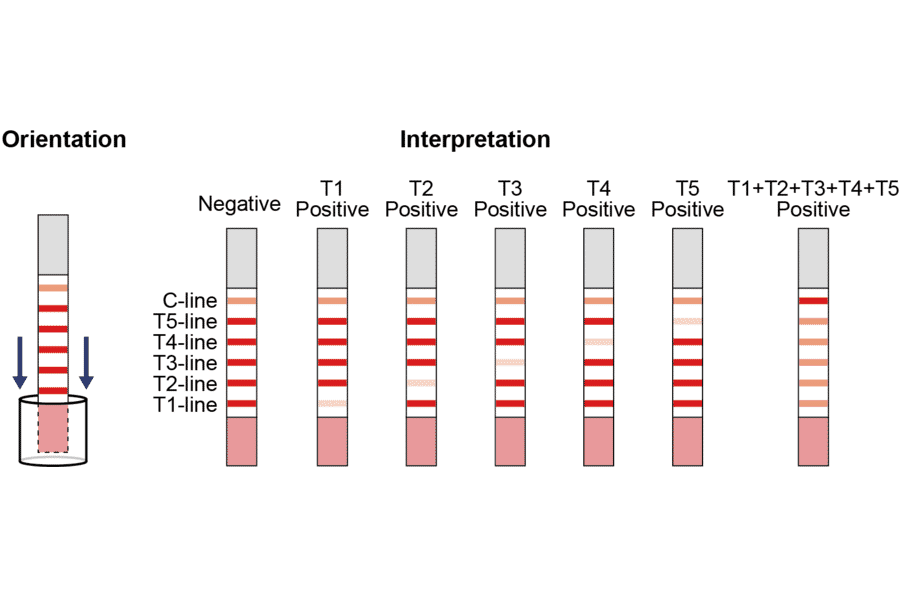 Assay Method - Beta Lactam + Tetracycline + Streptomycin + Chloramphenicol + Cefalexin Strip Test Kit (A327186) - Antibodies.com