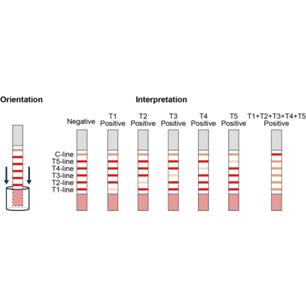 Assay Method - Beta Lactam + Tetracycline + Streptomycin + Chloramphenicol + Cefalexin Strip Test Kit (A327186) - Antibodies.com