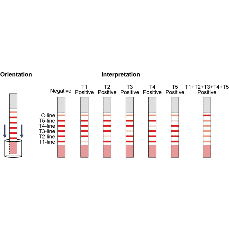 Assay Method - Beta Lactam + Tetracycline + Streptomycin + Chloramphenicol + Cefalexin Strip Test Kit (A327186) - Antibodies.com