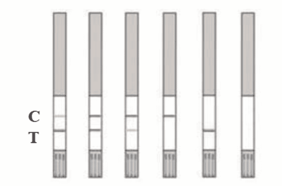 Assay Method - Chloramphenicol Strip Test Kit (A327190) - Antibodies.com