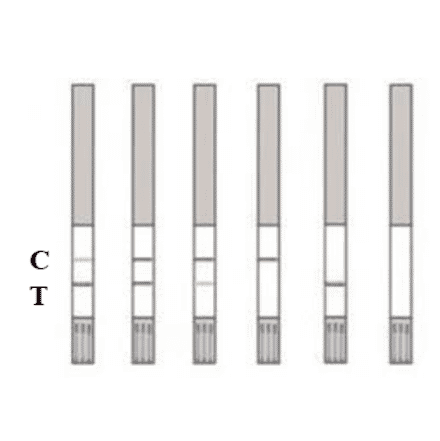 Assay Method - Chloramphenicol Strip Test Kit (A327190) - Antibodies.com