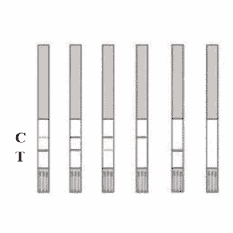 Assay Method - Chloramphenicol Strip Test Kit (A327190) - Antibodies.com