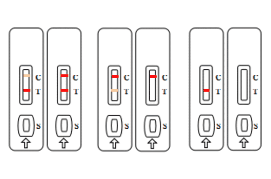 Assay Method - Chloramphenicol Strip Test Kit (A327191) - Antibodies.com