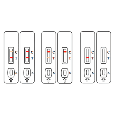 Assay Method - Chloramphenicol Strip Test Kit (A327191) - Antibodies.com