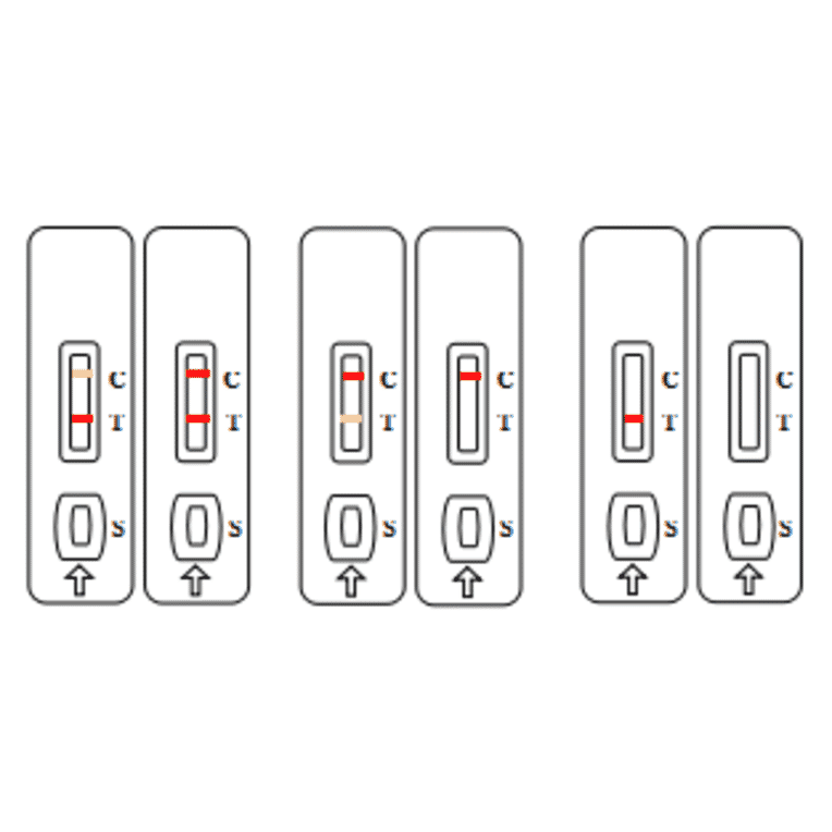 Assay Method - Chloramphenicol Strip Test Kit (A327191) - Antibodies.com