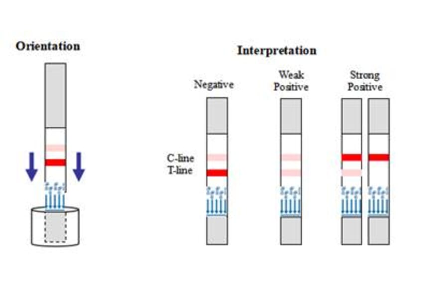 Assay Method - Dipyrone Strip Test Kit (A327200) - Antibodies.com