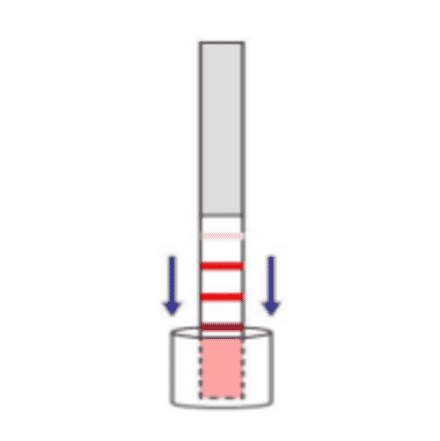 Assay Method - Erythromycin + Lincomycin + Tylosin + Gentamycin Strip Test Kit (A327204) - Antibodies.com