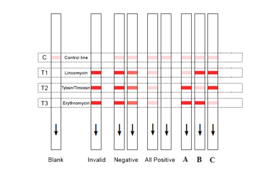 Assay Method - Erythromycin + Lincomycin + Tylosin + Timicosin Strip Test Kit (A327205) - Antibodies.com