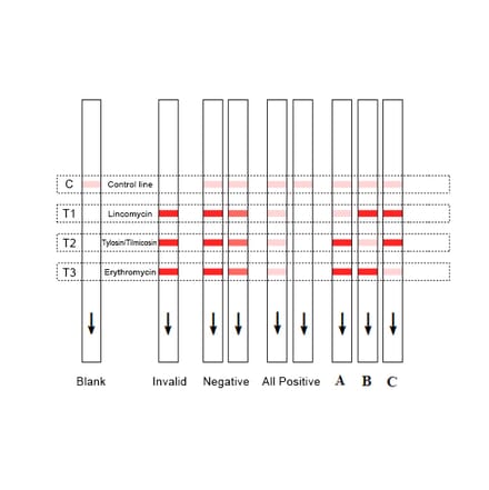 Assay Method - Erythromycin + Lincomycin + Tylosin + Timicosin Strip Test Kit (A327205) - Antibodies.com