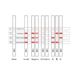 Assay Method - Erythromycin + Lincomycin + Tylosin + Timicosin Strip Test Kit (A327205) - Antibodies.com
