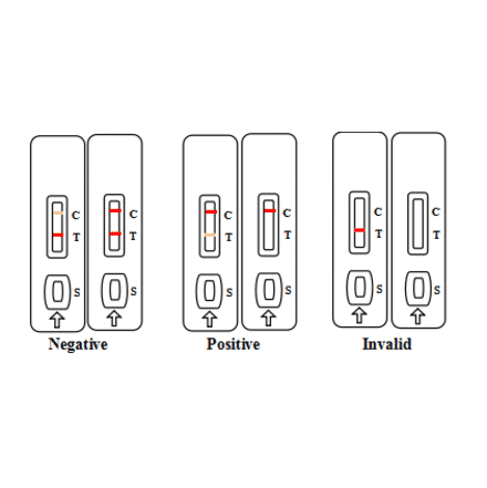 Assay Method - Fumonisin Strip Test Kit (A327211) - Antibodies.com