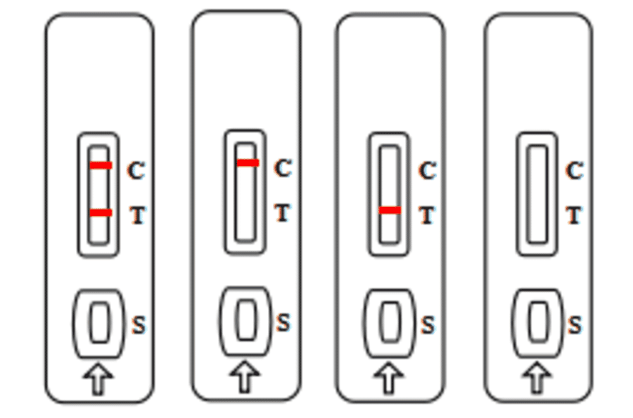 Assay Method - Furazolidone Strip Test Kit (A327216) - Antibodies.com