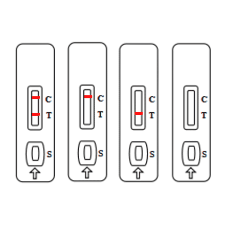 Assay Method - Furazolidone Strip Test Kit (A327216) - Antibodies.com