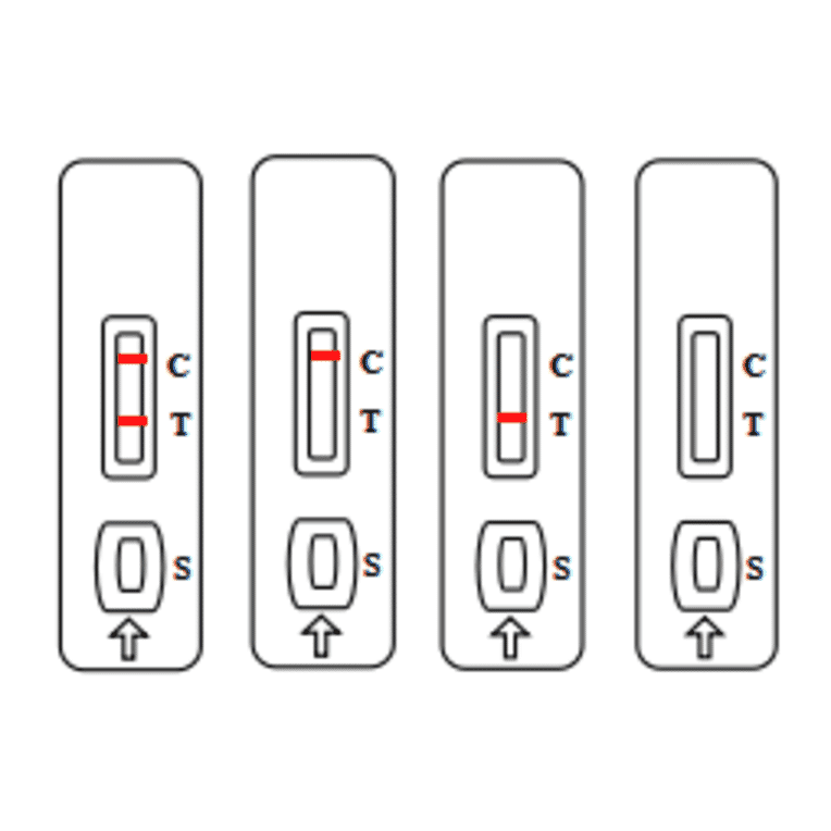 Assay Method - Furazolidone Strip Test Kit (A327216) - Antibodies.com