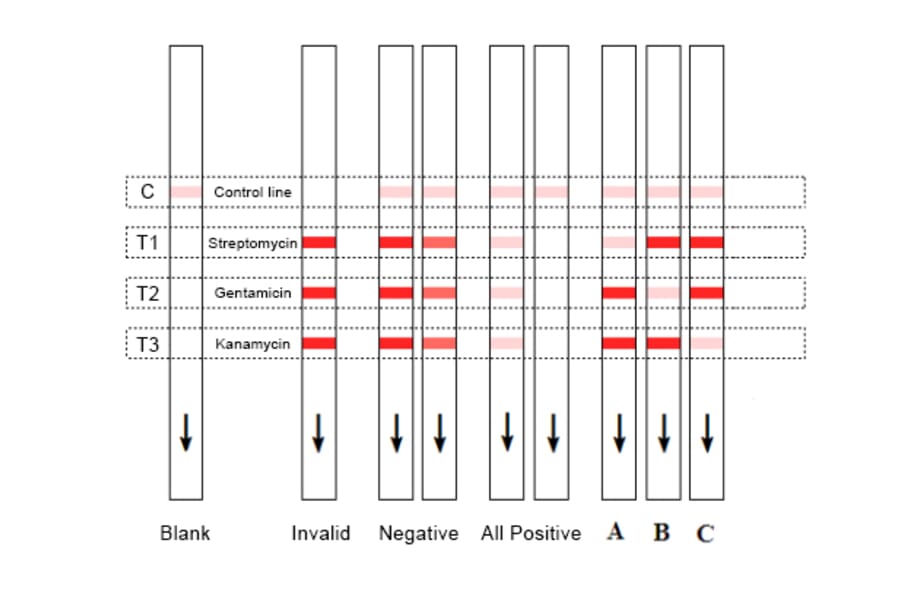 Assay Method - Gentamicin + Kanamycin + Streptomycin Strip Test Kit (A327219) - Antibodies.com