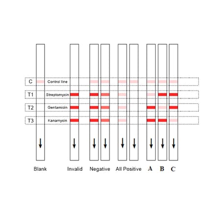Assay Method - Gentamicin + Kanamycin + Streptomycin Strip Test Kit (A327219) - Antibodies.com