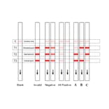 Assay Method - Gentamicin + Kanamycin + Streptomycin Strip Test Kit (A327219) - Antibodies.com