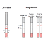 Assay Method - Kanamycin Strip Test Kit (A327220) - Antibodies.com