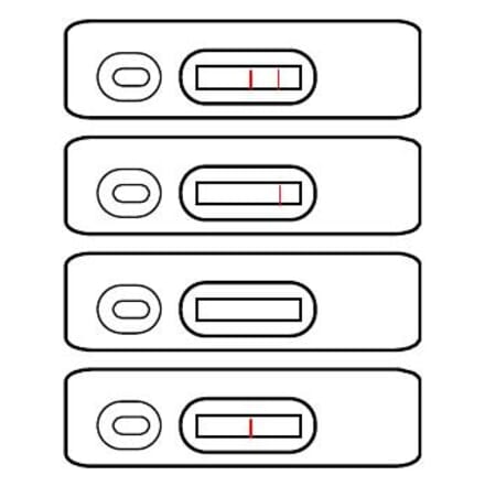 Assay Method - Ochratoxin A Strip Test Kit (A327237) - Antibodies.com