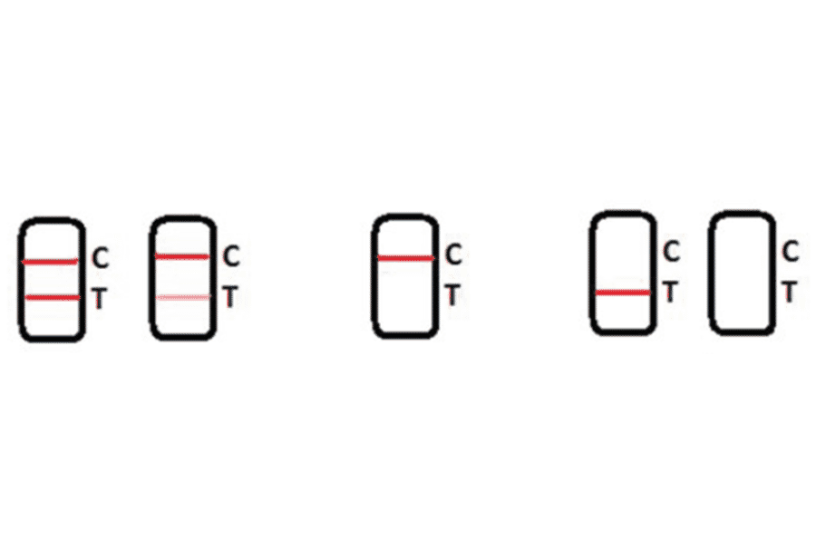 Assay Method - Salbutamol Strip Test Kit (A327245) - Antibodies.com