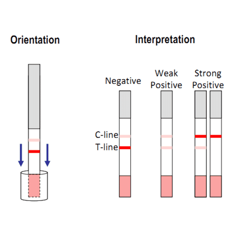 Assay Method - Streptomycin Strip Test Kit (A327248) - Antibodies.com