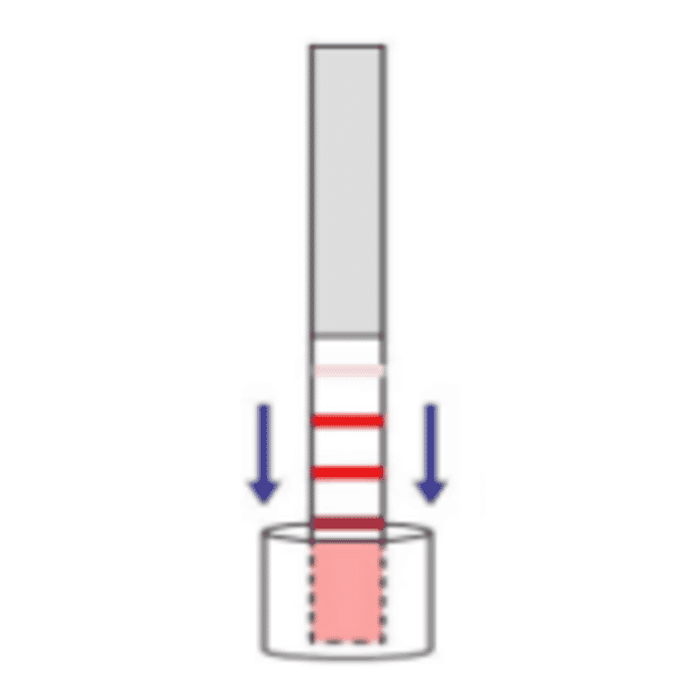 Assay Method - Streptomycin + Spectinomycin + Kanamycin + Neomycin Strip Test Kit (A327249) - Antibodies.com