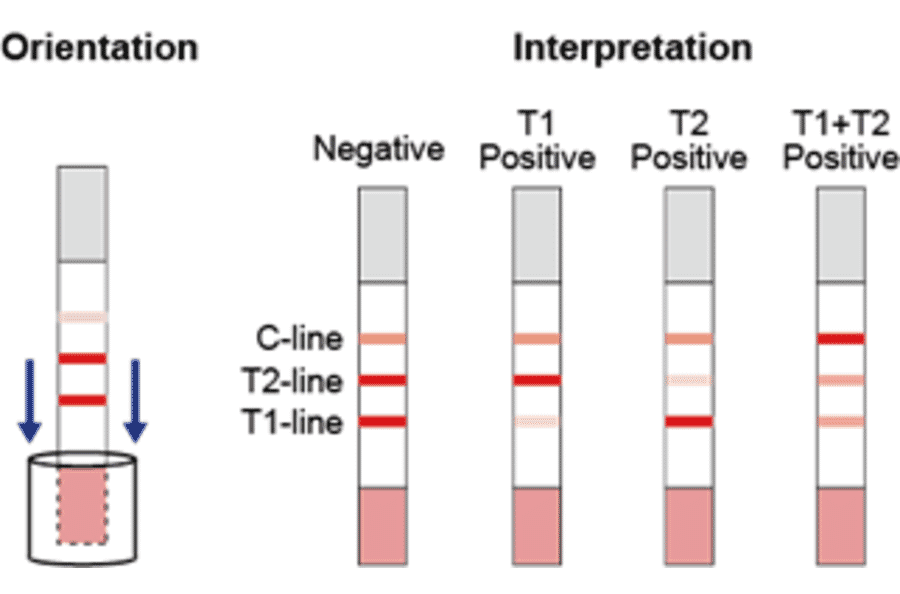 Assay Method - Sulfonamide + Fluoroquinolone Strip Test Kit (A327253) - Antibodies.com