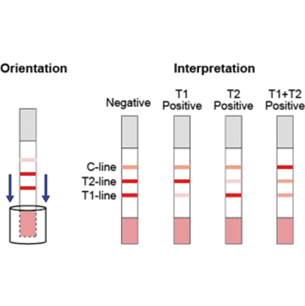 Assay Method - Sulfonamide + Fluoroquinolone Strip Test Kit (A327253) - Antibodies.com