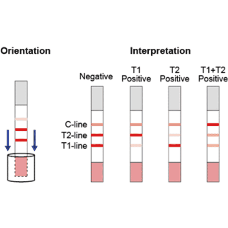 Assay Method - Sulfonamide + Fluoroquinolone Strip Test Kit (A327253) - Antibodies.com