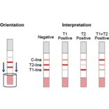 Assay Method - Sulfonamide + Fluoroquinolone Strip Test Kit (A327253) - Antibodies.com
