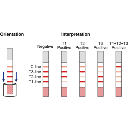 Assay Method - Sulfonamide + Fluoroquinolones + Tetracycline Strip Test Kit (A327254) - Antibodies.com