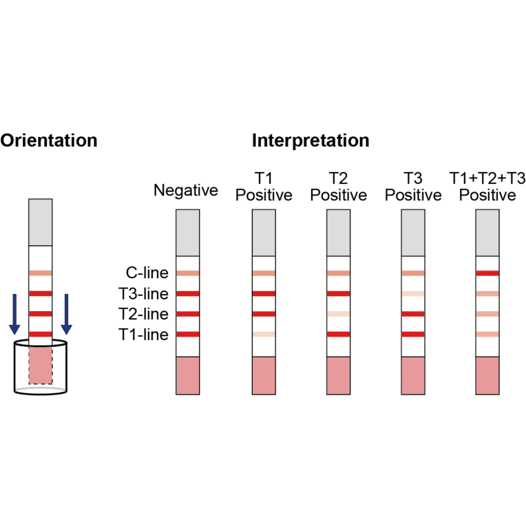 Assay Method - Sulfonamide + Fluoroquinolones + Tetracycline Strip Test Kit (A327254) - Antibodies.com