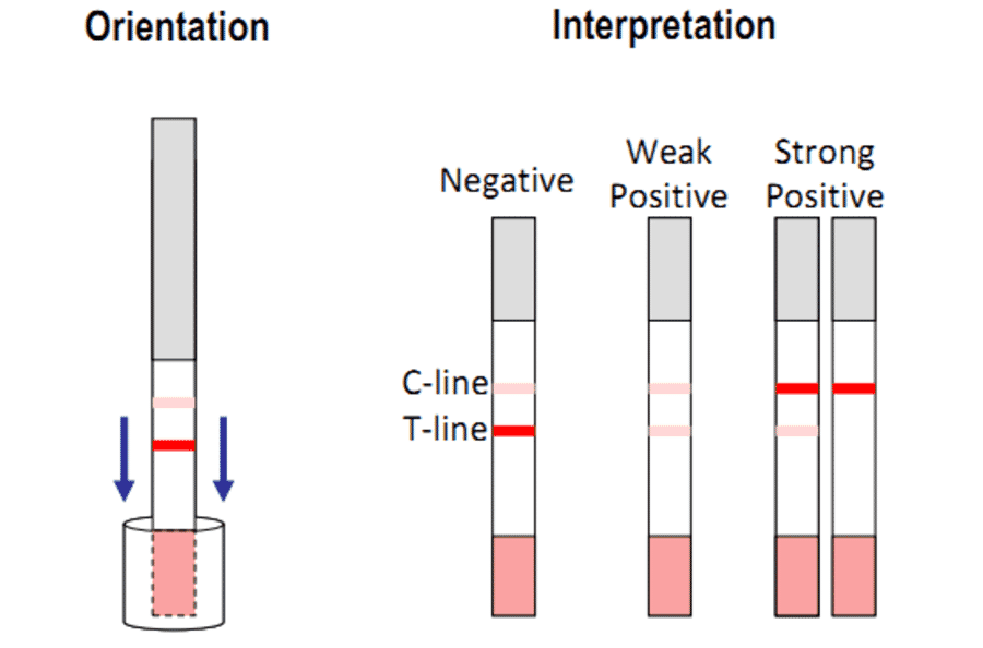 Assay Method - Tetracycline Strip Test Kit (A327257) - Antibodies.com