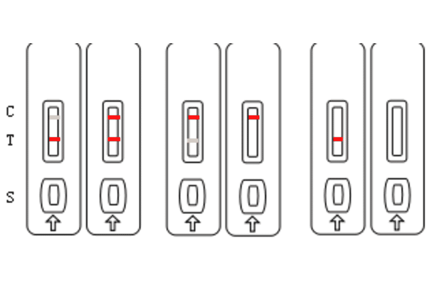 Assay Method - Tetracycline Strip Test Kit (A327258) - Antibodies.com