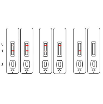 Assay Method - Tetracycline Strip Test Kit (A327258) - Antibodies.com