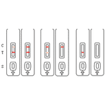 Assay Method - Tetracycline Strip Test Kit (A327258) - Antibodies.com