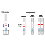 Assay Method - Thiamphenicol Strip Test Kit (A327259) - Antibodies.com