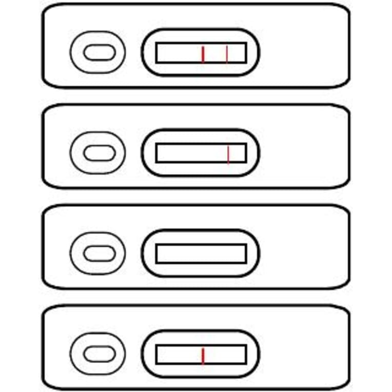 Assay Method - Zearalenone Strip Test Kit (A327264) - Antibodies.com