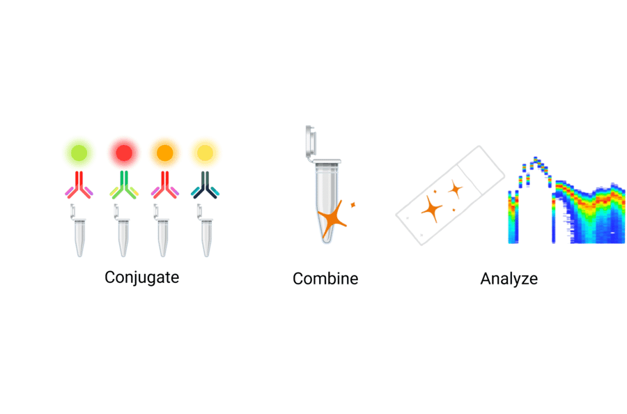 Workflow - StreptaClick® Antibody Labeling and Biotinylation Kit - 4 Color (A329038) - Antibodies.com