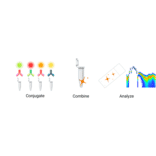 Workflow - StreptaClick® Antibody Labeling and Biotinylation Kit - 4 Color (A329038) - Antibodies.com