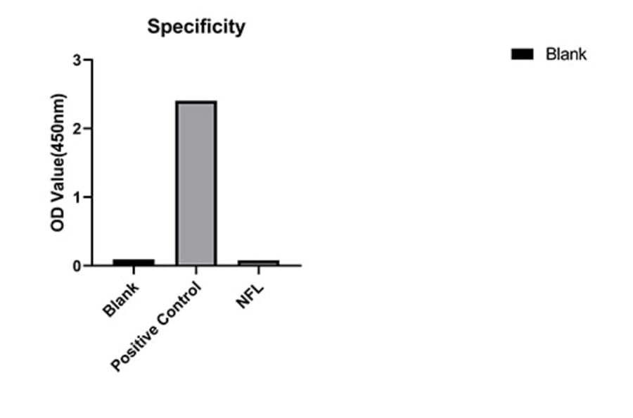 Standard Curve - Anti-NF-L Antibody (A329076) - Antibodies.com