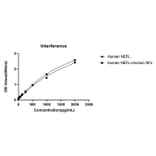 Competition assay - Anti-NF-L Antibody (A329076) - Antibodies.com