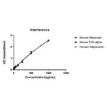 Competition assay - Anti-Adiponectin Antibody (A329099) - Antibodies.com