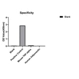 Standard Curve - Anti-Adiponectin Antibody (A329100) - Antibodies.com