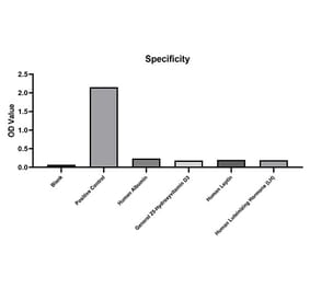 Standard Curve - Anti-AFP Antibody (A329104) - Antibodies.com